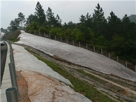 河龙高速边坡修复